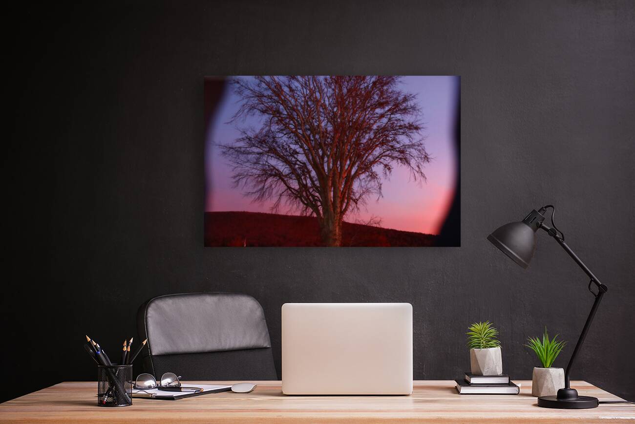 Blurrytree Reproduction