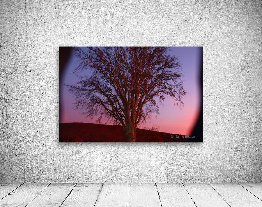 Blurrytree Wall Preview