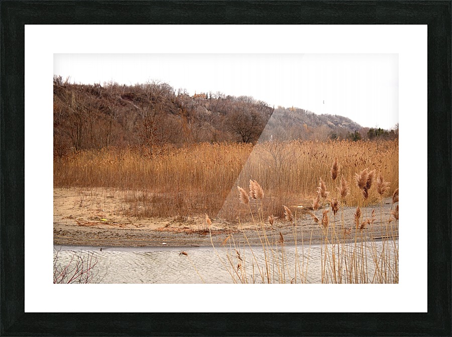 Meadow Picture Frame print