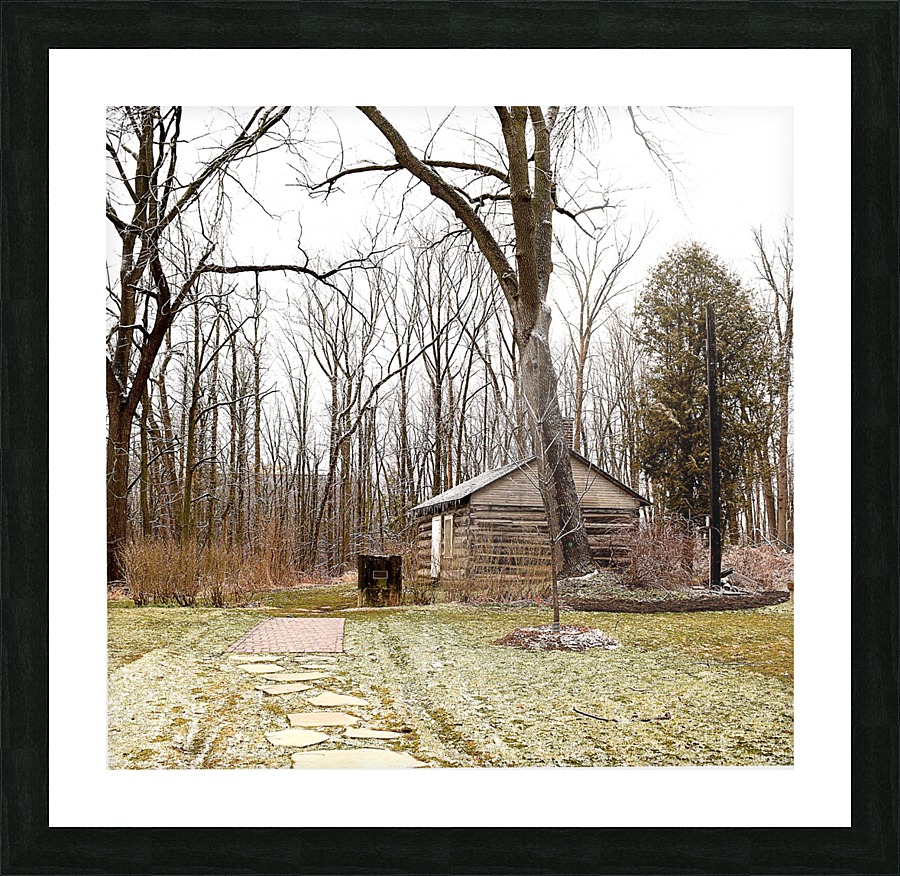 Cabin Picture Frame print