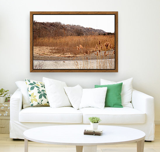 Meadow Reproduction