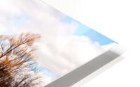 Lookout HD Metal print