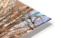 Quiet HD Metal print