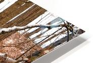 Log HD Metal print