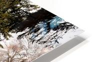 Garden Trail HD Metal print