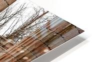 Aeris HD Metal print