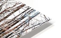 White Trail HD Metal print
