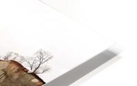 Placid HD Metal print