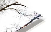 Puddle HD Metal print
