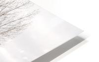 Lake HD Metal print
