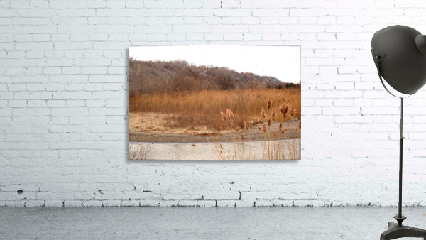 Meadow Wall Preview