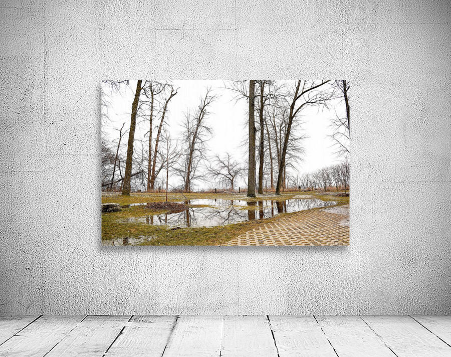 Puddle Wall Preview