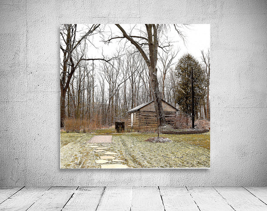 Cabin Wall Preview