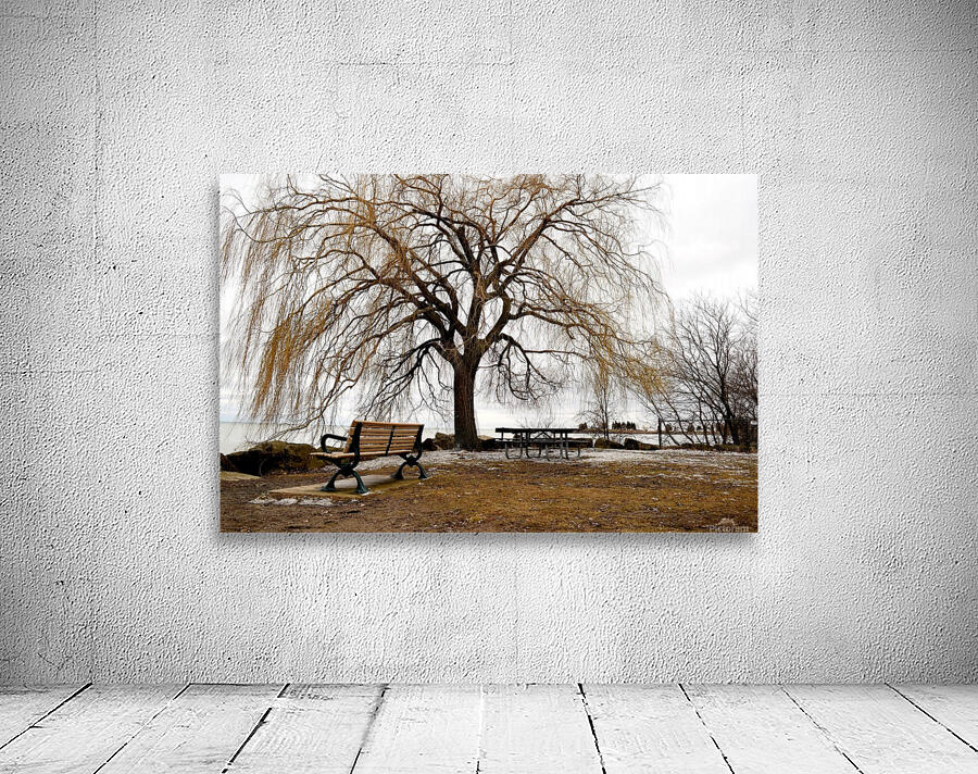 Tree Wall Preview