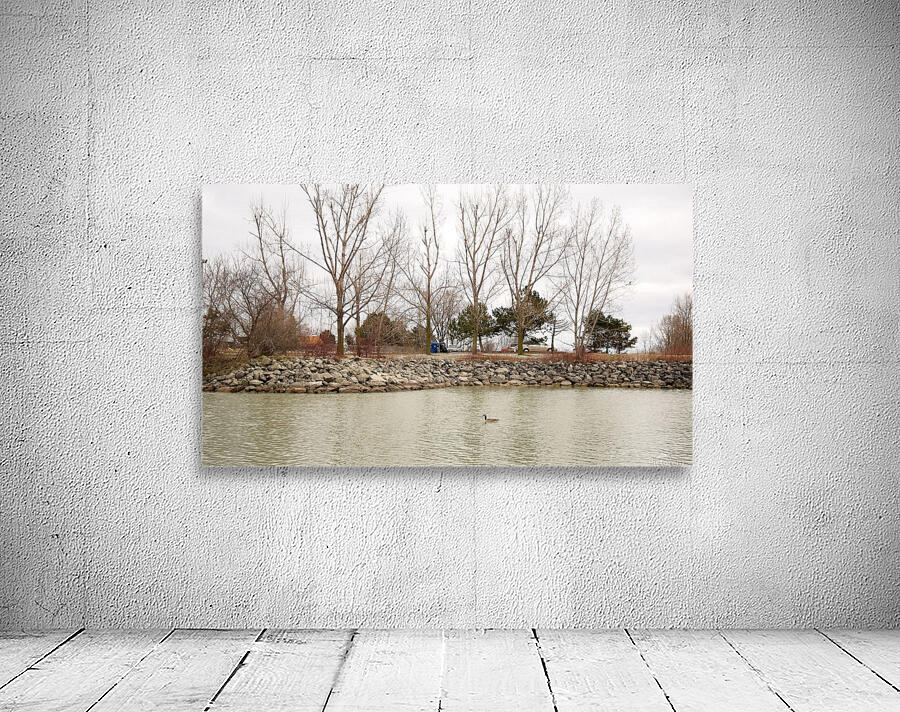 Lake Wall Preview