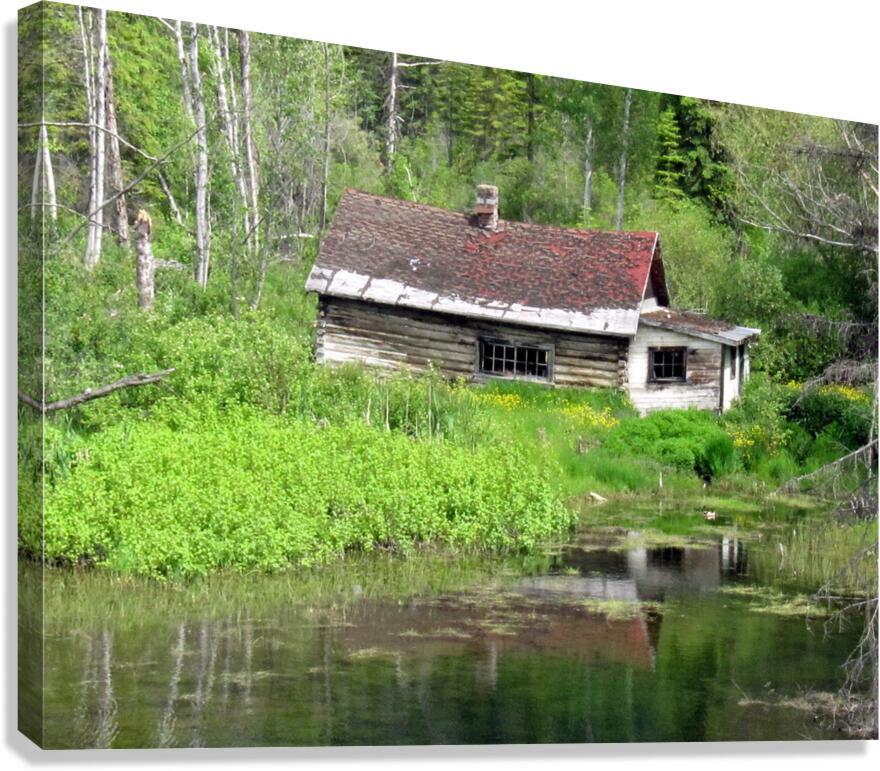 Cabin