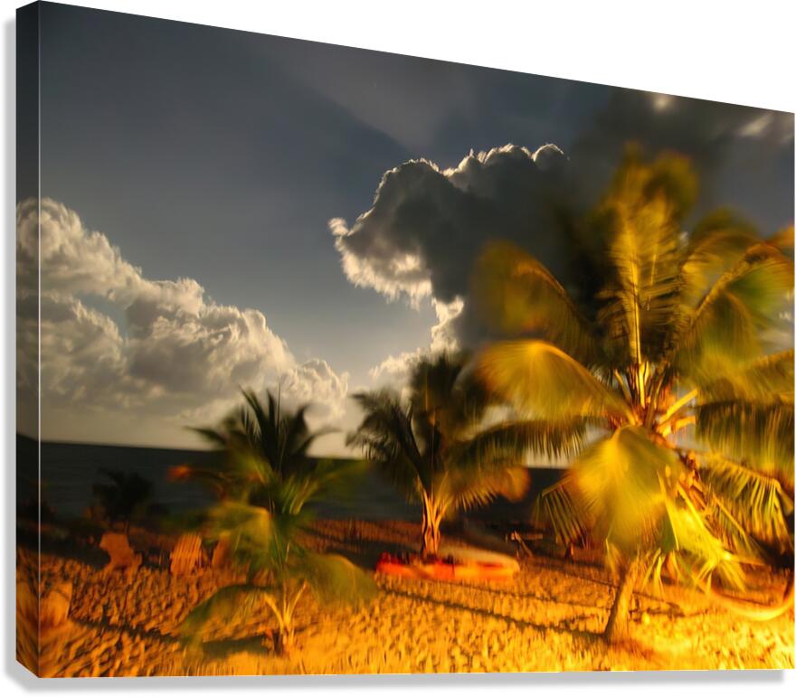 Evening Breezes - Belize