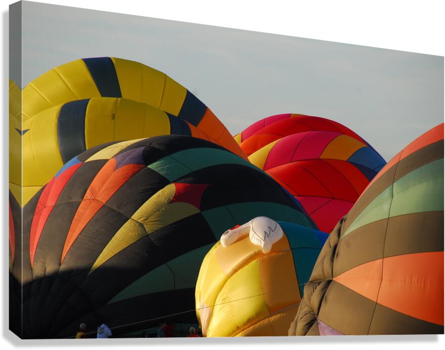 Balloon Behavior