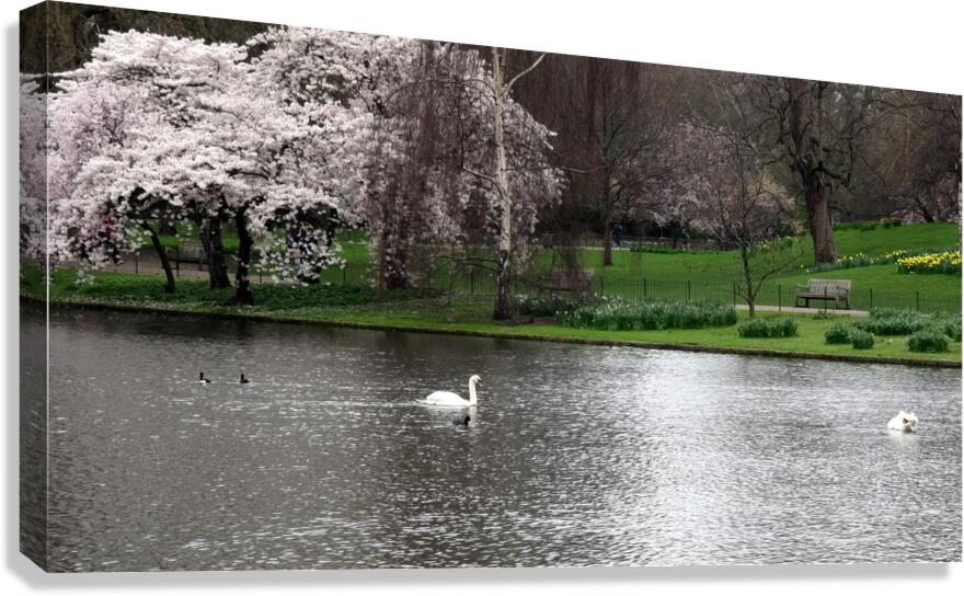 London Park