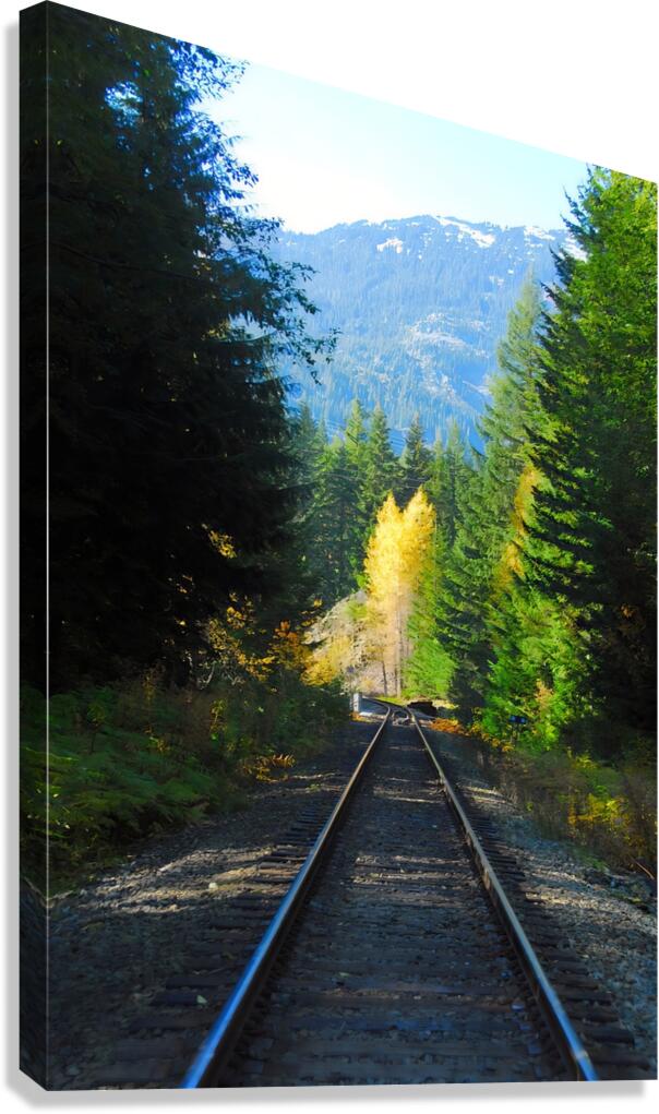 Down the Tracks