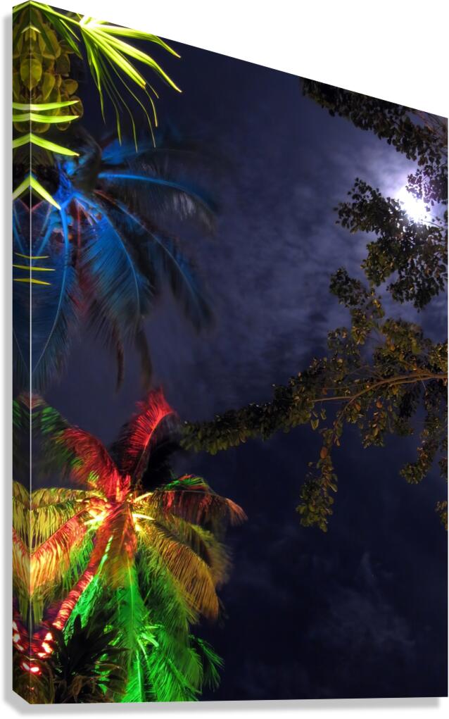Colorful Moonlight