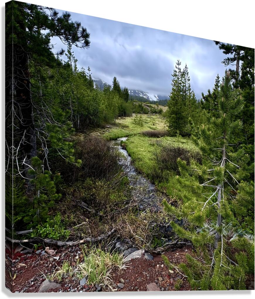 Three Creeks meadow