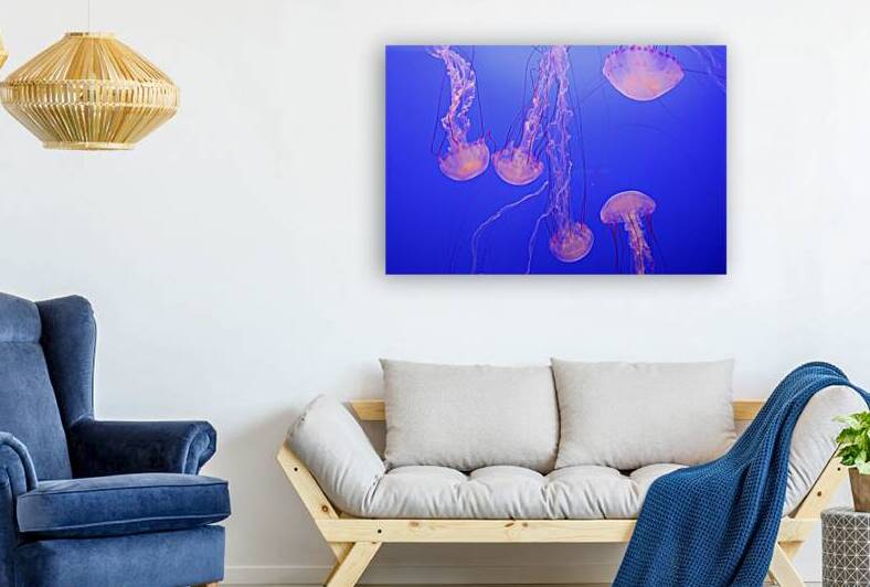 Floaters by MJW Artworks