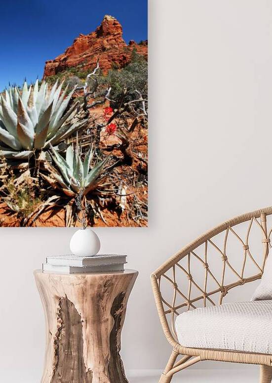 Prickly Sedona by MJW Artworks