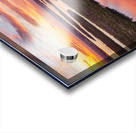 20240407 Stump Pass 4 Acrylic print