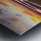 20240407 Stump Pass 4 Metal print