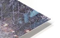 0I5A1354 tree swing HD Metal print