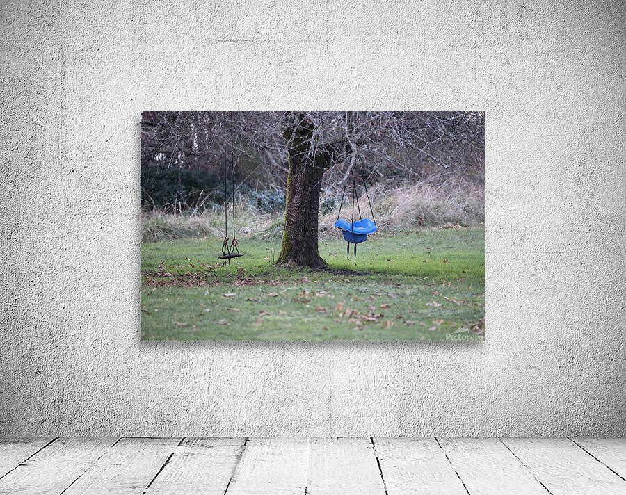 0I5A1354 tree swing Wall Preview