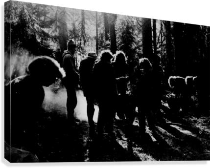 Forest Canvas Print