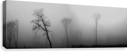 Mist Canvas Print