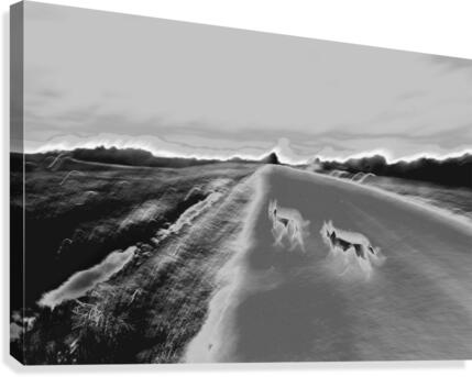 Wolfdogs Canvas Print