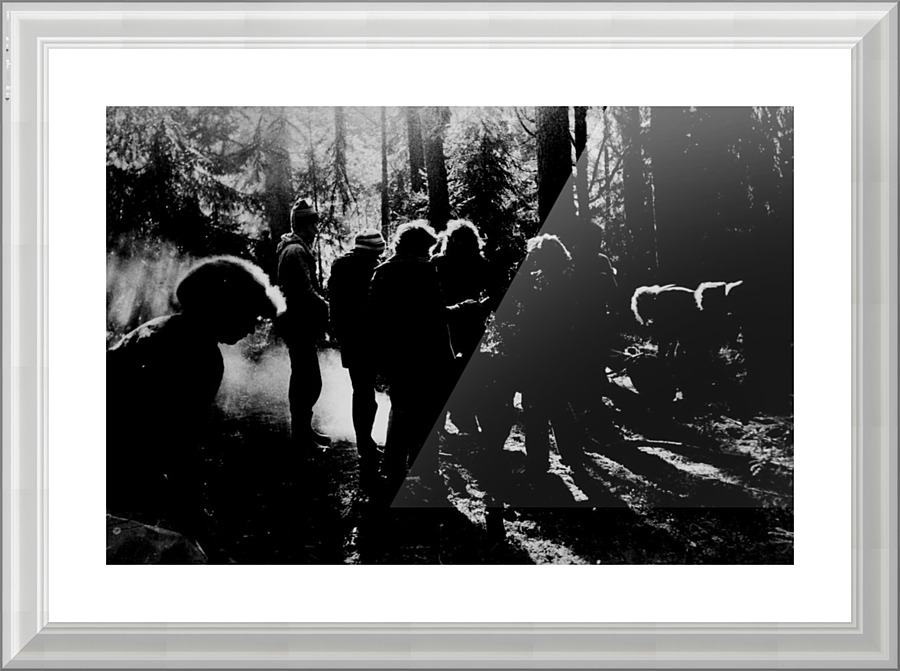 Forest Picture Frame print