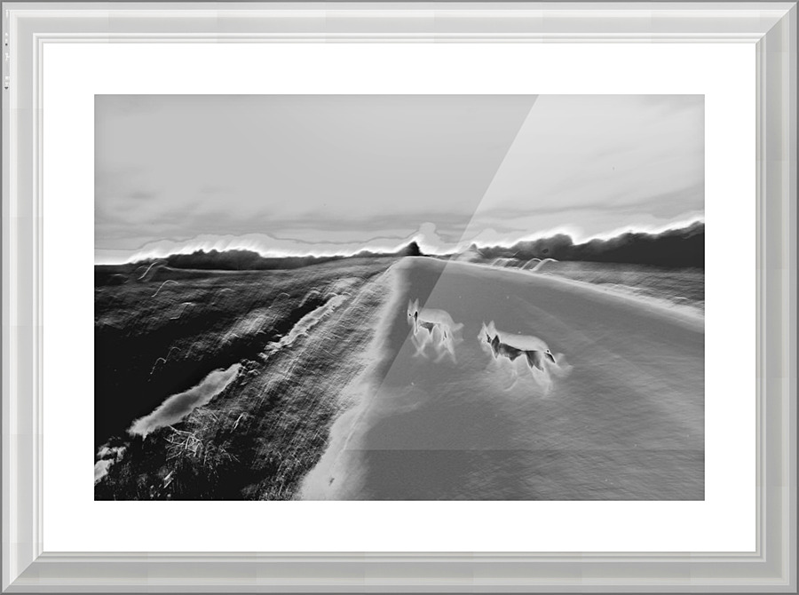 Wolfdogs Picture Frame print