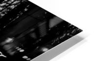 Forest HD Metal print