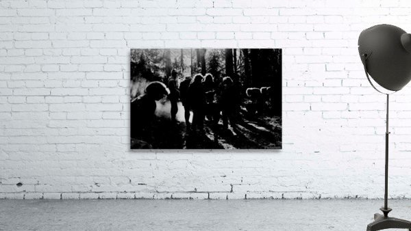Forest Wall Preview