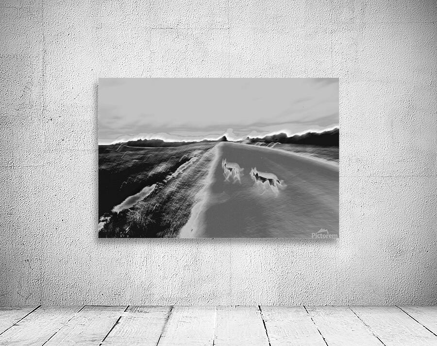 Wolfdogs Wall Preview