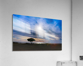 Pamlico Sound Acrylic Print