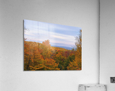 Fall on the Mountain Acrylic Print