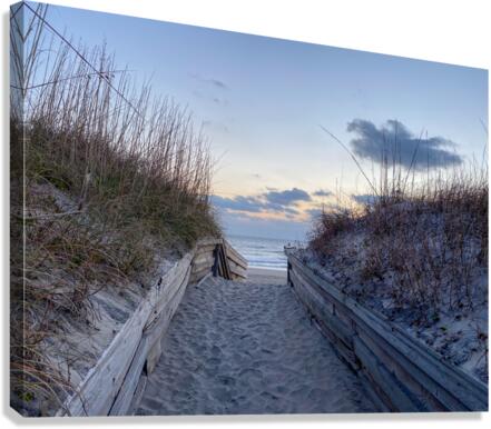 Sneak Peak at the Beach Canvas Print