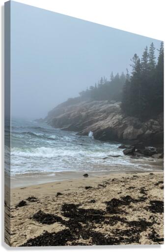 Maine Coastline Canvas Print