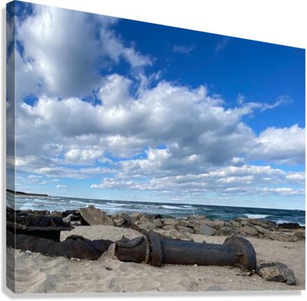 Remains in VA Canvas Print