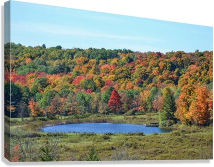Upstate NY Fall Pond Canvas Print