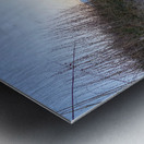Sneak Peak at the Beach Metal print