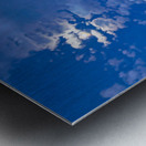Sunset Flight Metal print