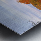 Fall on the Mountain Metal print