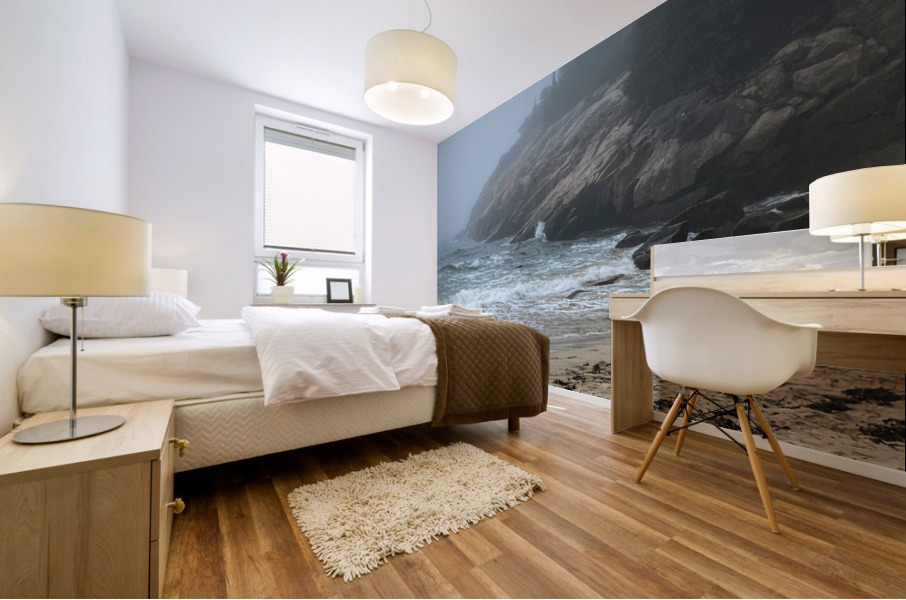 Maine Coastline Mural print